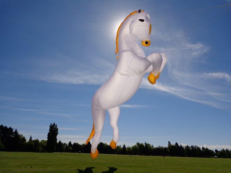 Horse Peter Lynn Kites