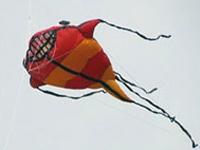 Micro Show Kite Kit - Peter Lynn Kites