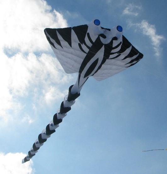 Show Kites - Peter Lynn Kites